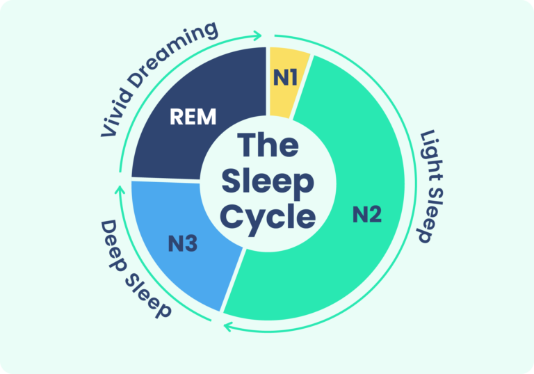 Understanding-REM-sleep